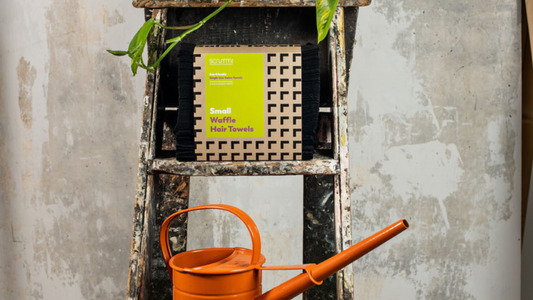 Single-Use Towels: Why Are They Best For Your Eco-Friendly Salon?