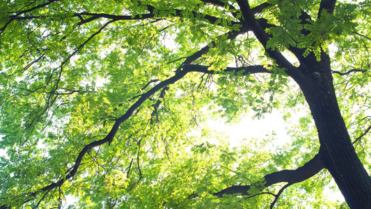 Eco-Friendly Swap Outs That You Need in Your Salon for Earth Day April 22nd