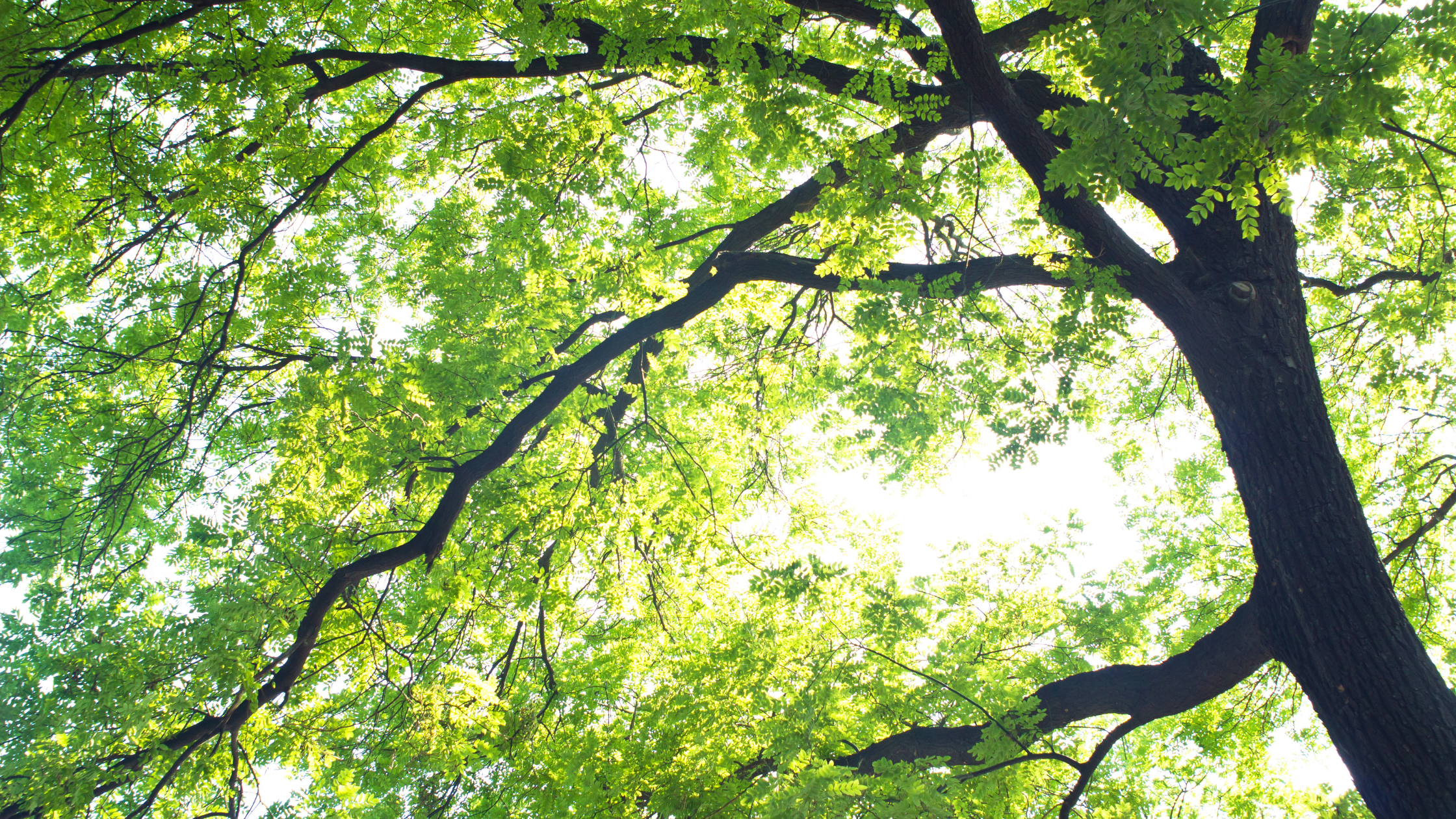 Eco-Friendly Swap Outs That You Need in Your Salon for Earth Day April 22nd
