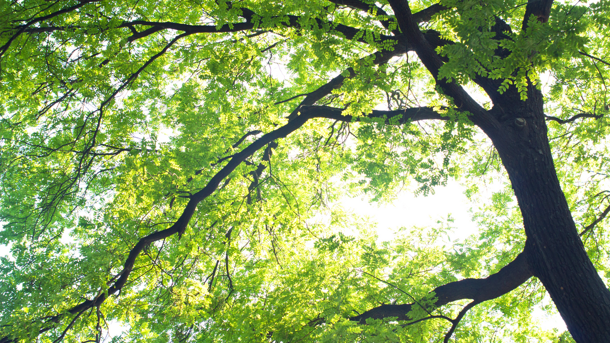 Eco-Friendly Swap Outs That You Need in Your Salon for Earth Day April 22nd